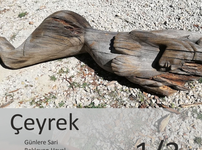 Günlere Sari